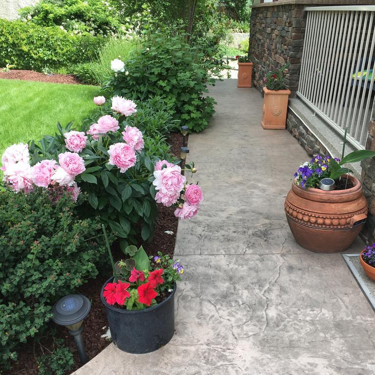 A Day'S Dream B&B 피치랜드 외부 사진